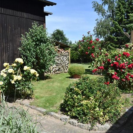 Comfortable Apartment In A Quiet Location Zweedorf 외부 사진
